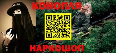 гашик Нальчик