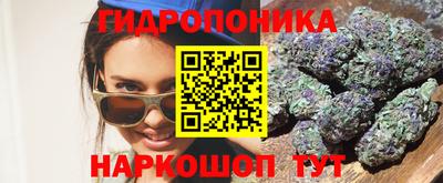 гашик Нальчик