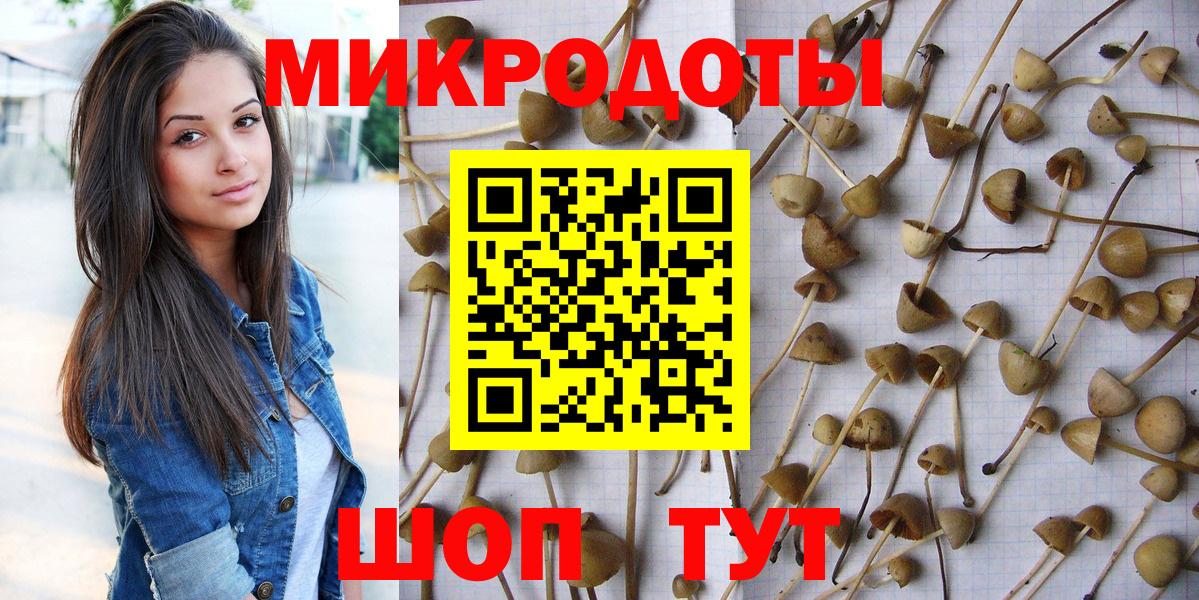Галлюциногенные грибы Psilocybine cubensis  Вход с VPN  Урюпинск 