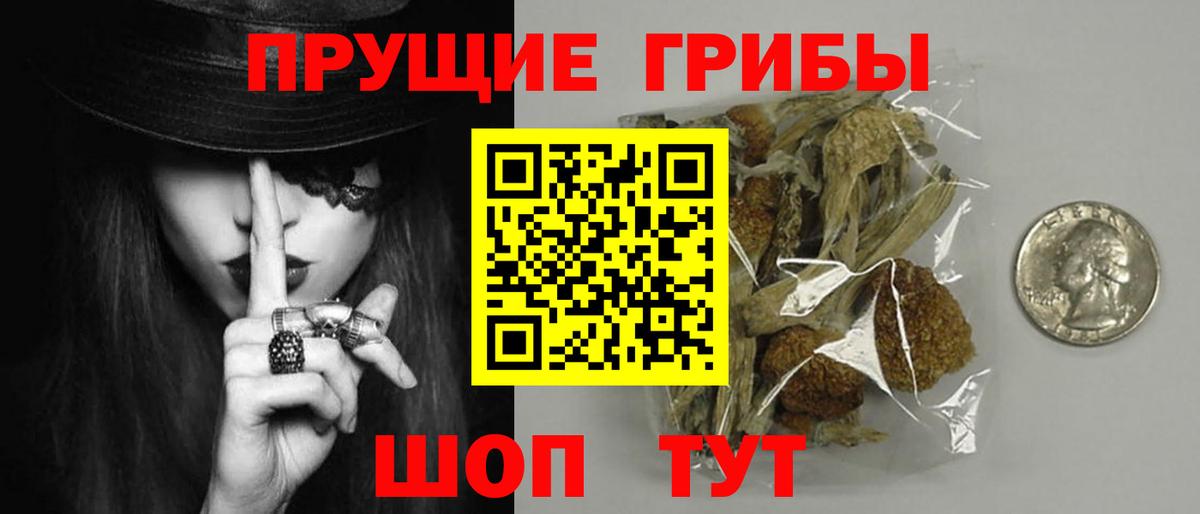 Псилоцибиновые грибы Psilocybe Урюпинск